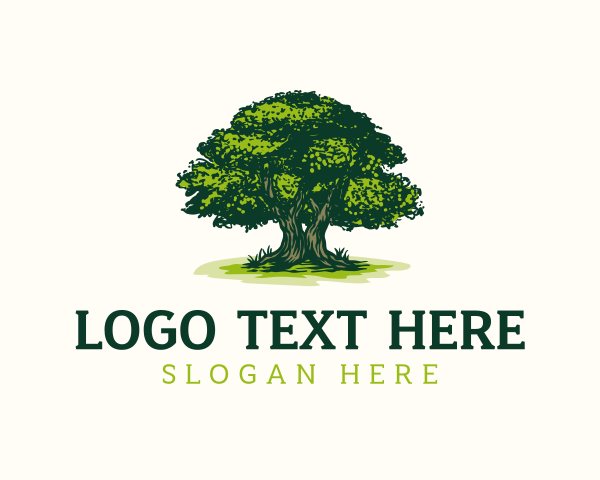 Evergreen Essence